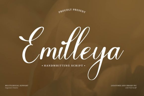 Emilleya: A Graceful Script Font for Modern Web Design