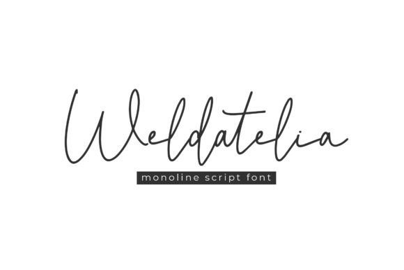 Weldatelia: The Elegant Script Font for Handmade Brands