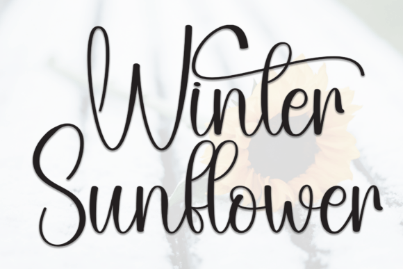 Winter Sunflower: A Handwritten Font for Elegant Branding